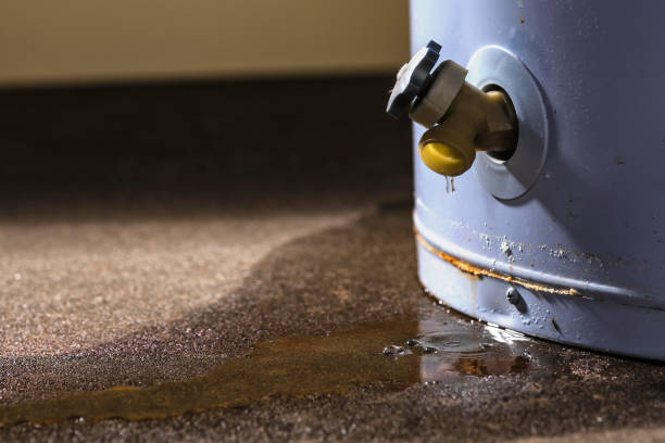 Best Ceiling water damage repair  in Cut Off, LA