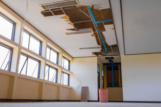 Best Carpet water damage restoration  in Cut Off, LA