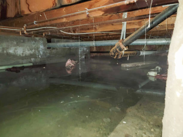 Professional Water damage restoration in LA