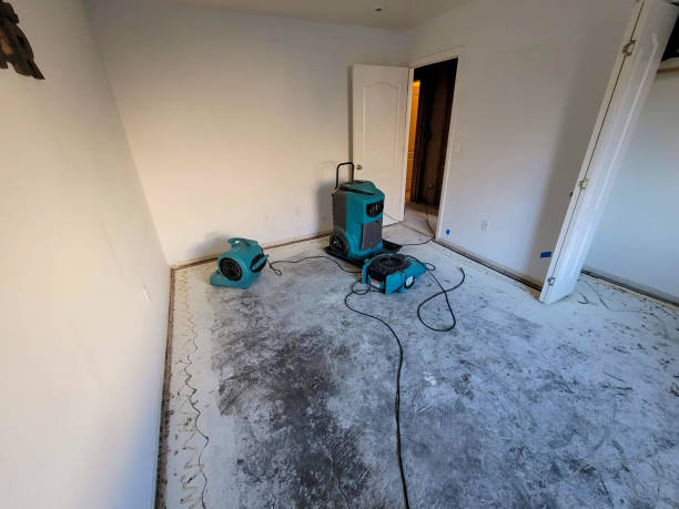 Best Water damage contractors near me  in Cut Off, LA