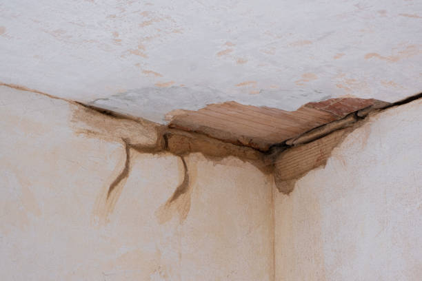 Best Emergency water damage restoration  in Cut Off, LA