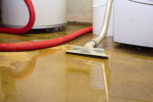 Water damage restoration process in LA