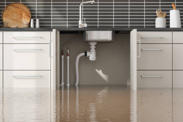 Best Water damage restoration near me  in Cut Off, LA