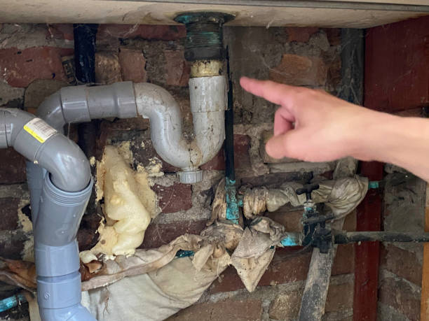 Best Flooded house restoration  in Cut Off, LA