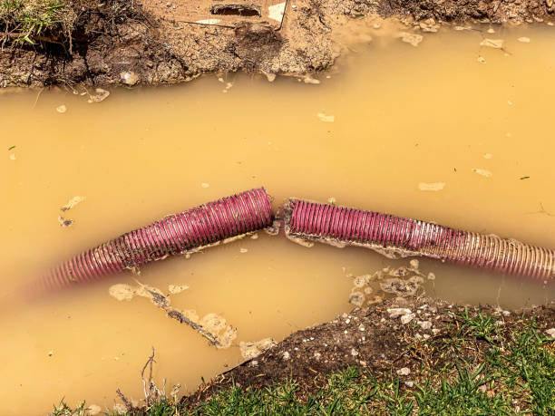  Cut Off, LA Water damage restoration Pros
