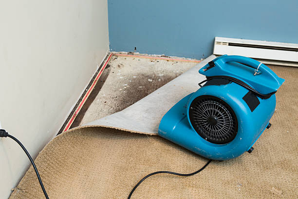 Best Flood restoration services  in Cut Off, LA